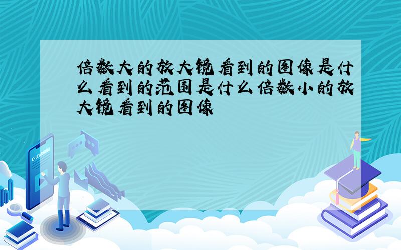 倍数大的放大镜看到的图像是什么看到的范围是什么倍数小的放大镜看到的图像