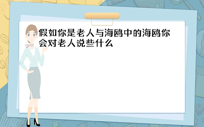 假如你是老人与海鸥中的海鸥你会对老人说些什么