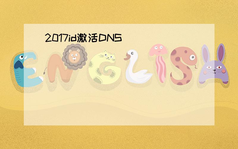 2017id激活DNS