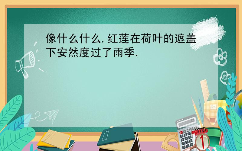 像什么什么,红莲在荷叶的遮盖下安然度过了雨季.