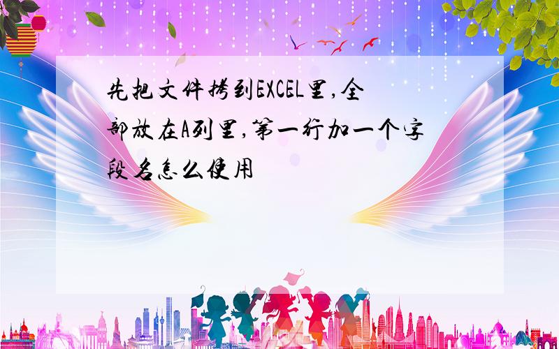 先把文件拷到EXCEL里,全部放在A列里,第一行加一个字段名怎么使用