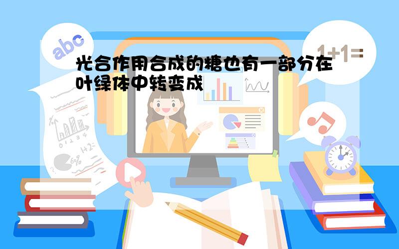 光合作用合成的糖也有一部分在叶绿体中转变成