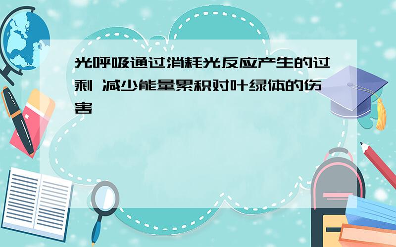 光呼吸通过消耗光反应产生的过剩 减少能量累积对叶绿体的伤害