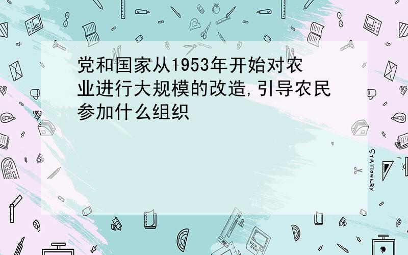 党和国家从1953年开始对农业进行大规模的改造,引导农民参加什么组织