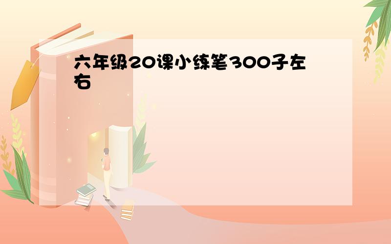 六年级20课小练笔300子左右