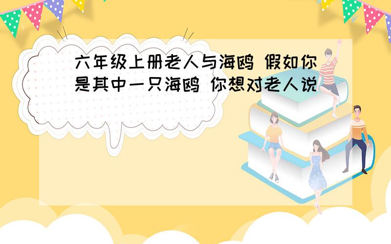 六年级上册老人与海鸥 假如你是其中一只海鸥 你想对老人说