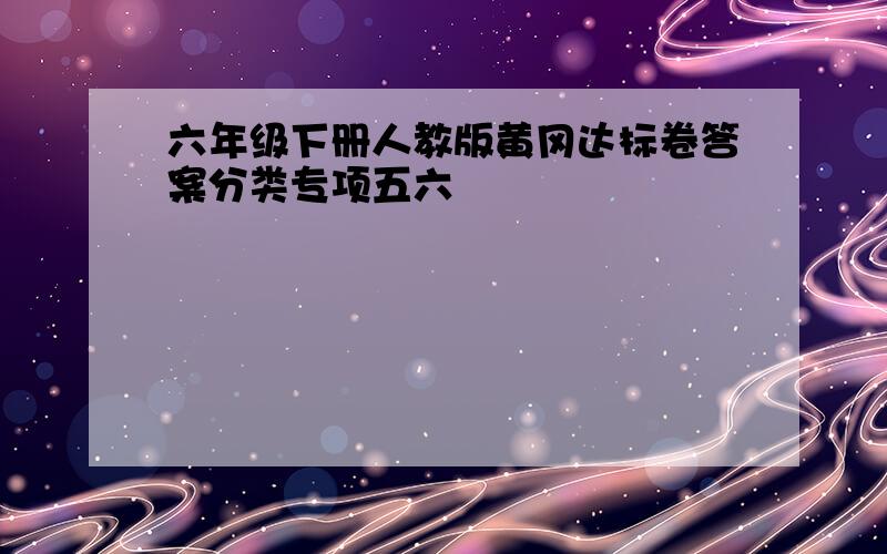 六年级下册人教版黄冈达标卷答案分类专项五六