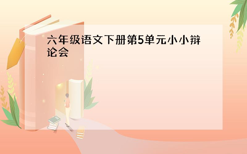 六年级语文下册第5单元小小辩论会