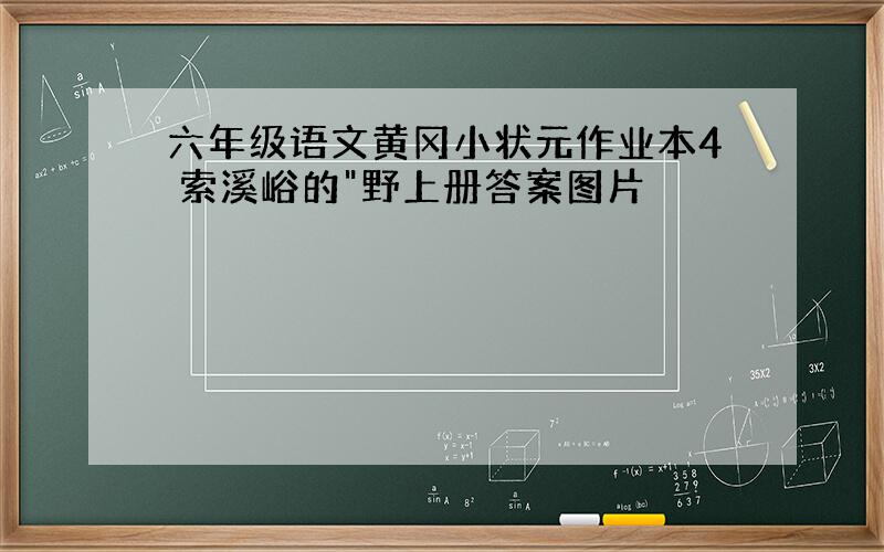 六年级语文黄冈小状元作业本4 索溪峪的"野上册答案图片