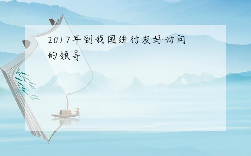 2017年到我国进行友好访问的领导