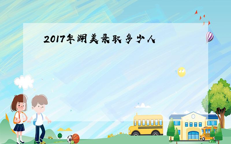 2017年湖美录取多少人