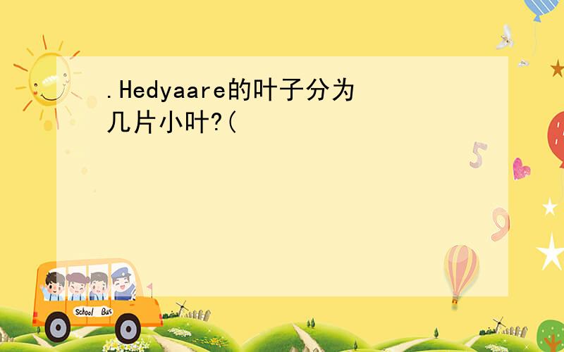 .Hedyaare的叶子分为几片小叶?(