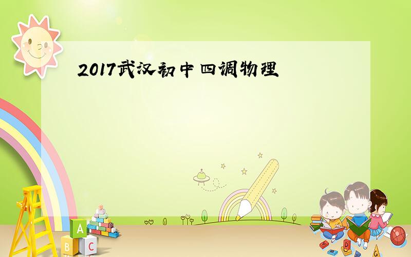 2017武汉初中四调物理