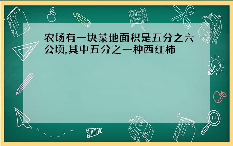 农场有一块菜地面积是五分之六公顷,其中五分之一种西红柿