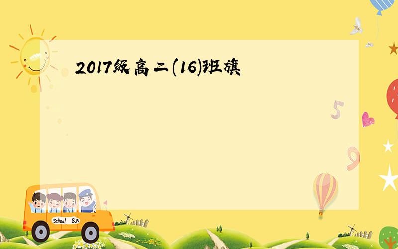 2017级高二(16)班旗