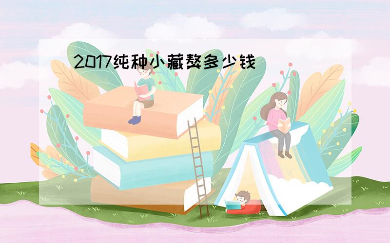 2017纯种小藏獒多少钱