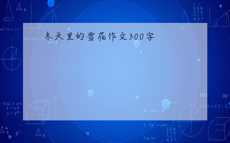 冬天里的雪花作文300字