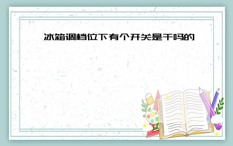 冰箱调档位下有个开关是干吗的