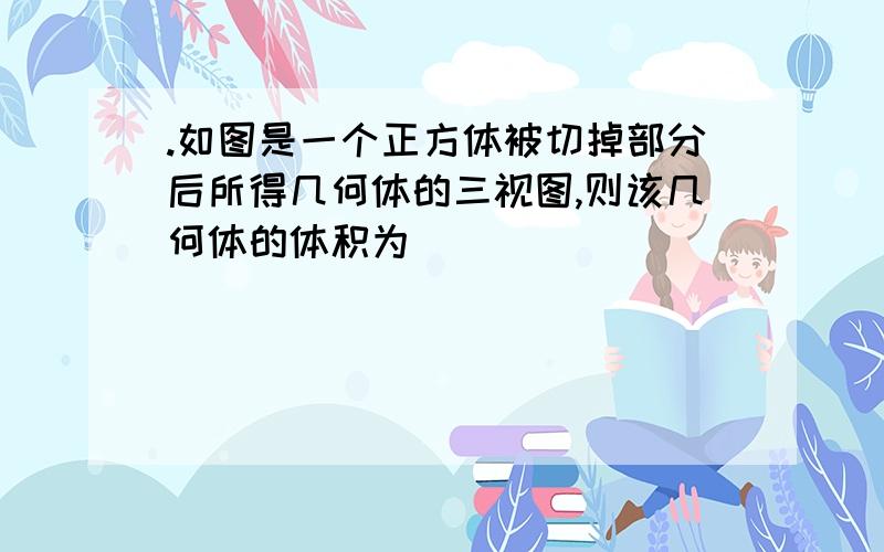 .如图是一个正方体被切掉部分后所得几何体的三视图,则该几何体的体积为