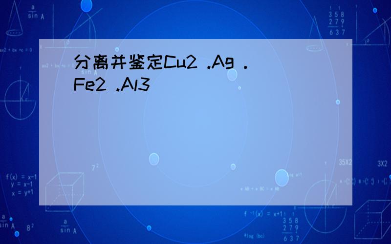 分离并鉴定Cu2 .Ag .Fe2 .Al3