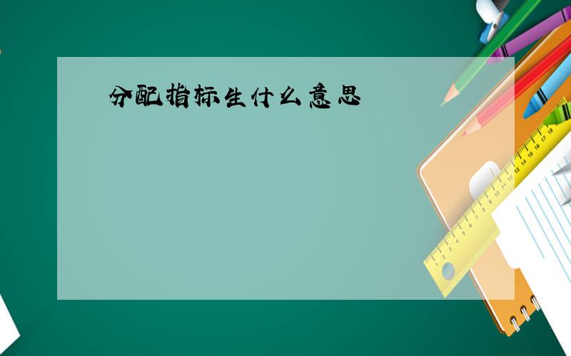 分配指标生什么意思