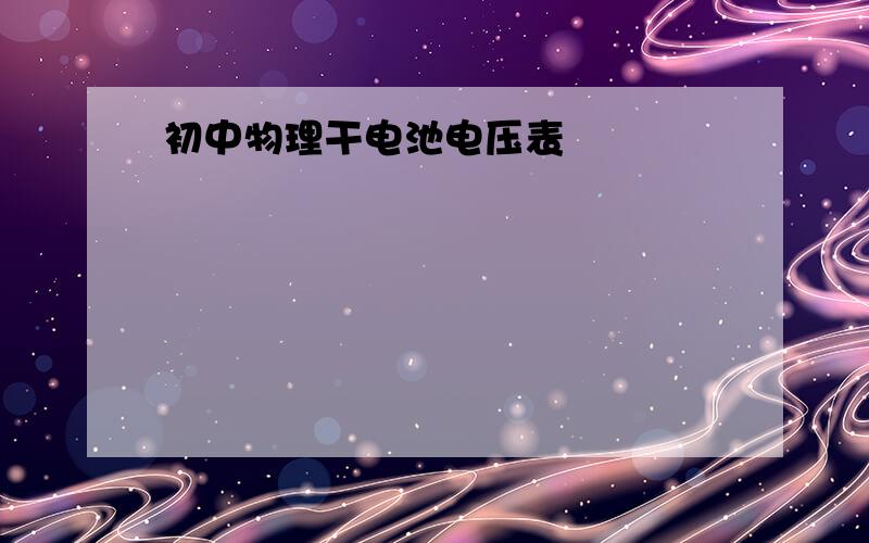 初中物理干电池电压表