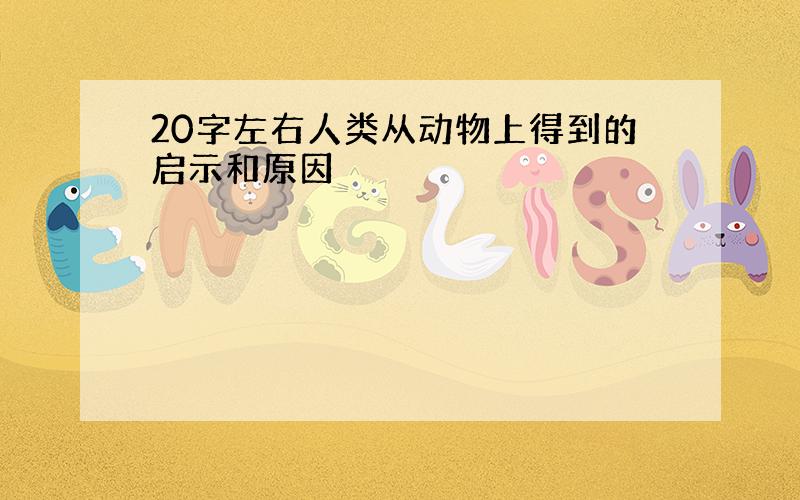 20字左右人类从动物上得到的启示和原因