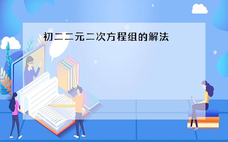 初二二元二次方程组的解法