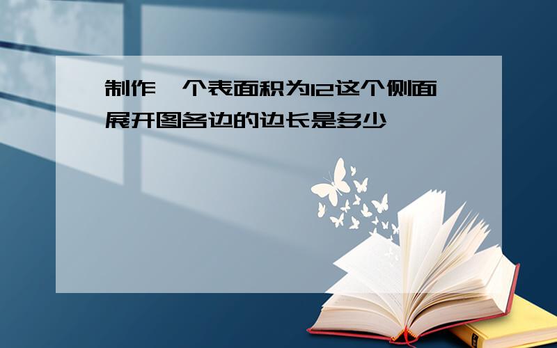 制作一个表面积为12这个侧面展开图各边的边长是多少