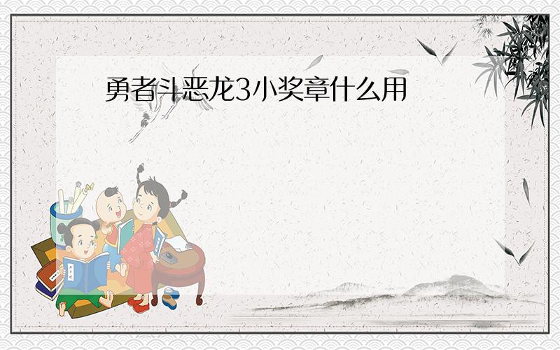 勇者斗恶龙3小奖章什么用