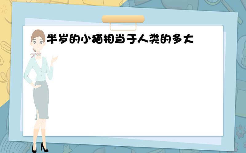 半岁的小猫相当于人类的多大