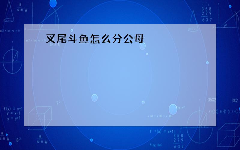 叉尾斗鱼怎么分公母