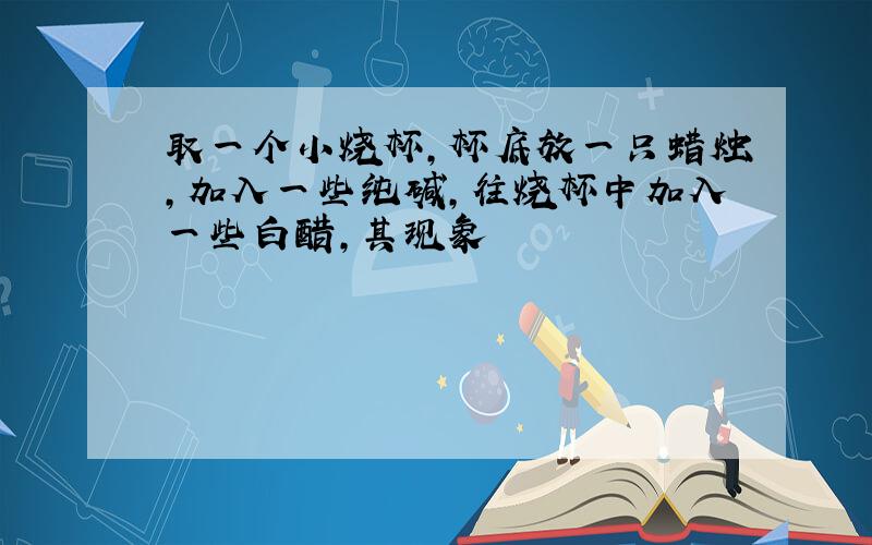 取一个小烧杯,杯底放一只蜡烛,加入一些纯碱,往烧杯中加入一些白醋,其现象