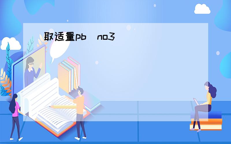 取适量pb(no3)