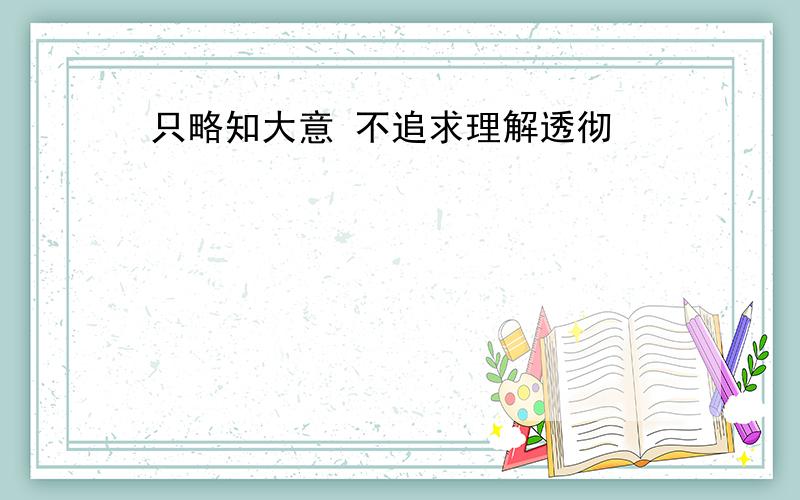 只略知大意 不追求理解透彻