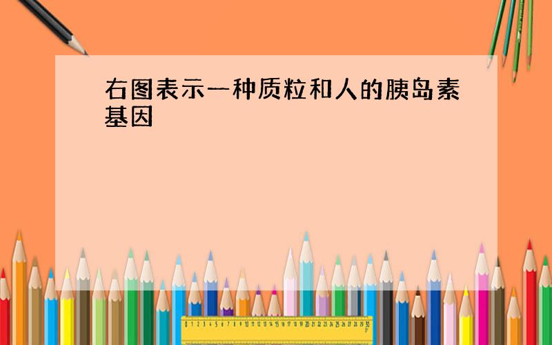 右图表示一种质粒和人的胰岛素基因