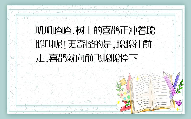 叽叽喳喳,树上的喜鹊正冲着聪聪叫呢!更奇怪的是,聪聪往前走,喜鹊就向前飞聪聪停下