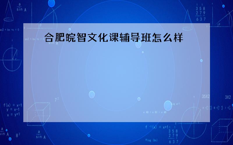 合肥皖智文化课辅导班怎么样