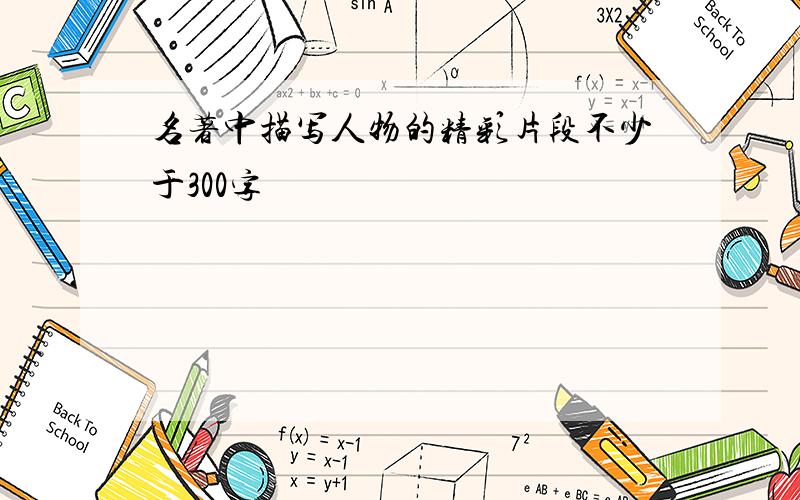 名著中描写人物的精彩片段不少于300字