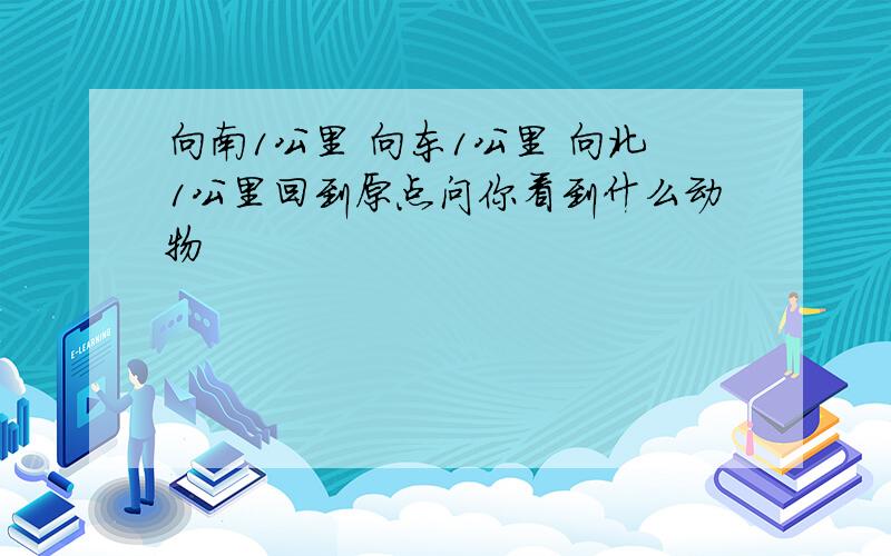 向南1公里 向东1公里 向北1公里回到原点问你看到什么动物