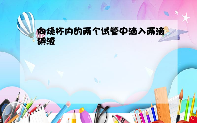 向烧杯内的两个试管中滴入两滴碘液