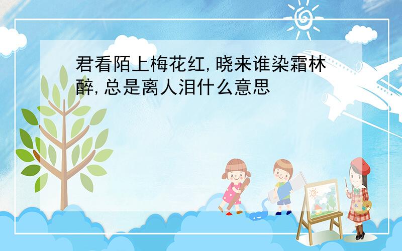 君看陌上梅花红,晓来谁染霜林醉,总是离人泪什么意思