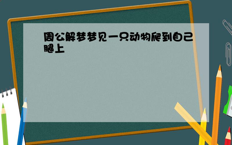 周公解梦梦见一只动物爬到自己腿上