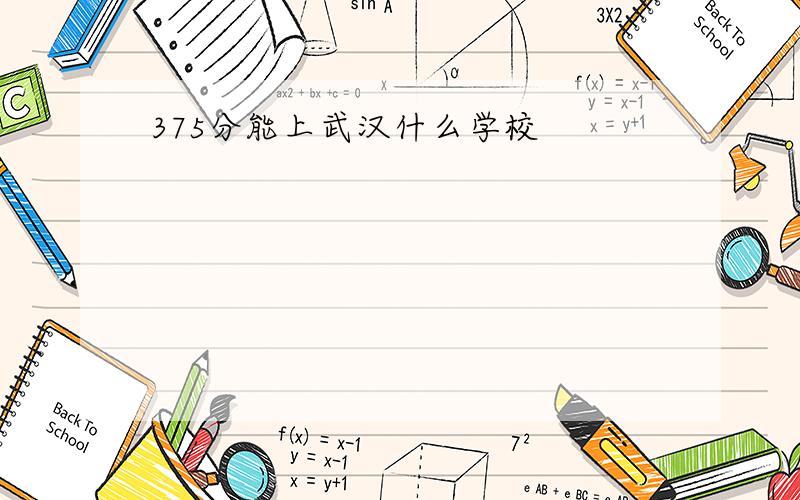 375分能上武汉什么学校