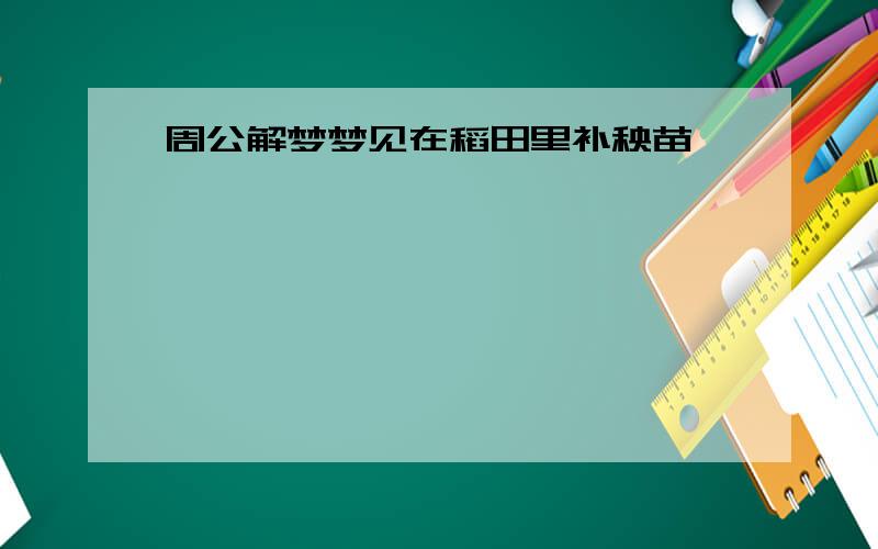 周公解梦梦见在稻田里补秧苗