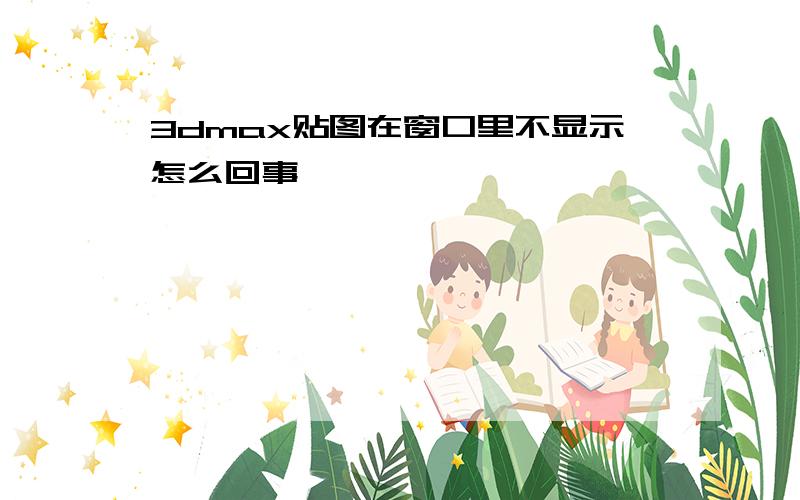 3dmax贴图在窗口里不显示怎么回事