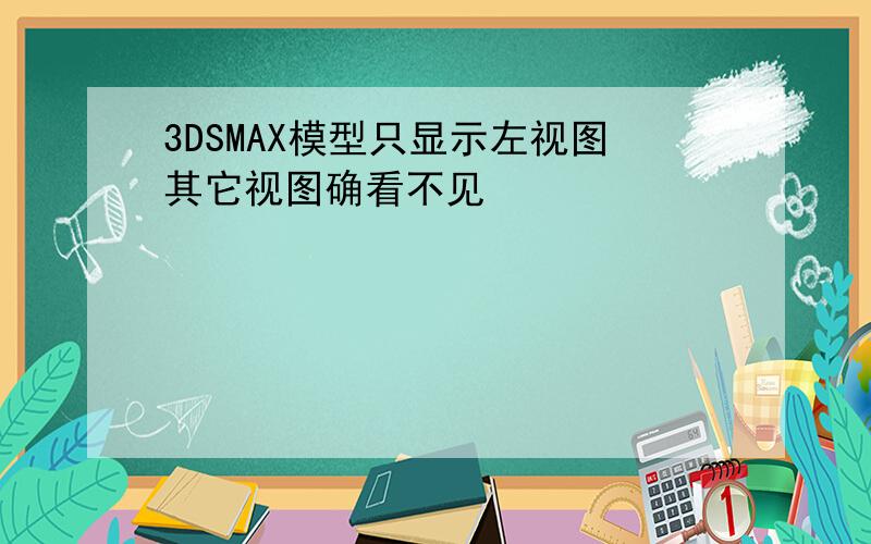 3DSMAX模型只显示左视图其它视图确看不见