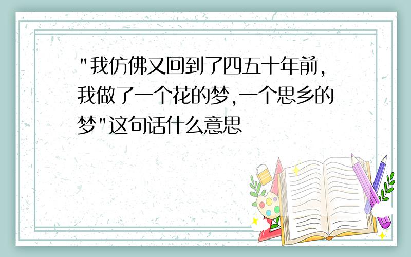 "我仿佛又回到了四五十年前,我做了一个花的梦,一个思乡的梦"这句话什么意思