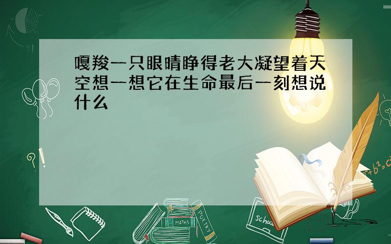 嘎羧一只眼晴睁得老大凝望着天空想一想它在生命最后一刻想说什么