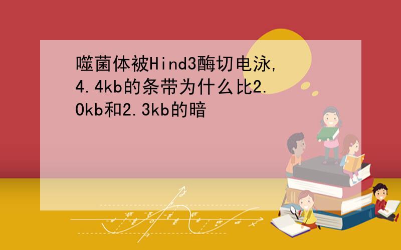 噬菌体被Hind3酶切电泳,4.4kb的条带为什么比2.0kb和2.3kb的暗